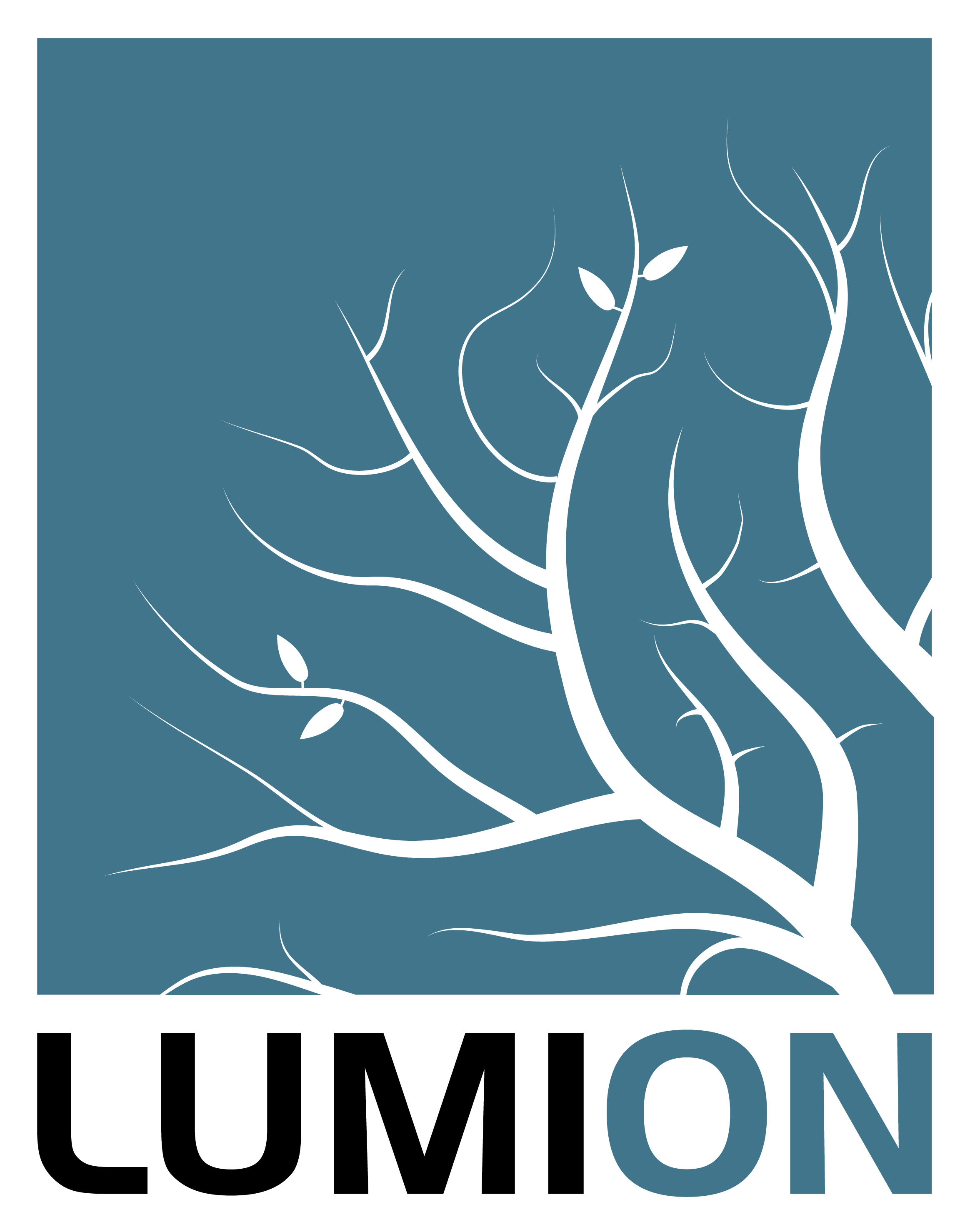 logo lumion